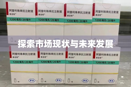 惠州探索市场现状与未来发展