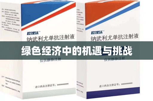 惠州绿色经济中的机遇与挑战