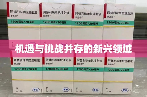 惠州机遇与挑战并存的新兴领域
