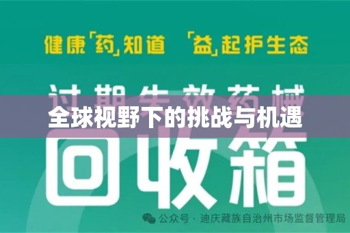 惠州全球视野下的挑战与机遇