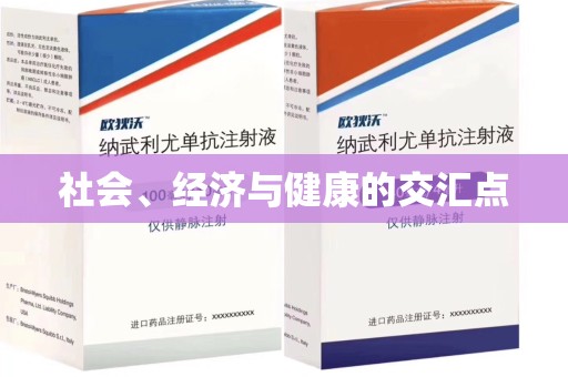 惠州社会、经济与健康的交汇点