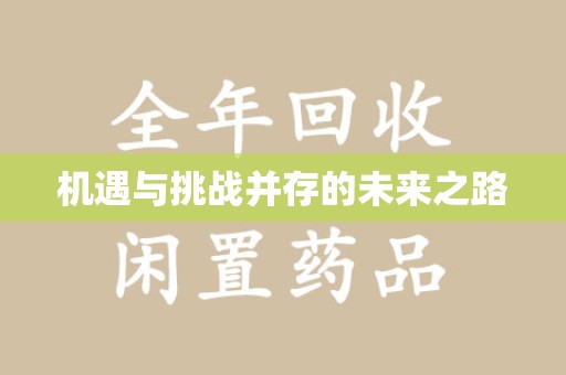 惠州机遇与挑战并存的未来之路
