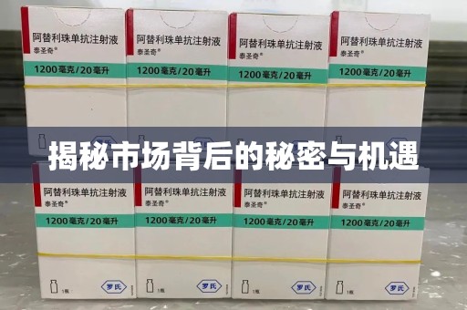 惠州揭秘市场背后的秘密与机遇