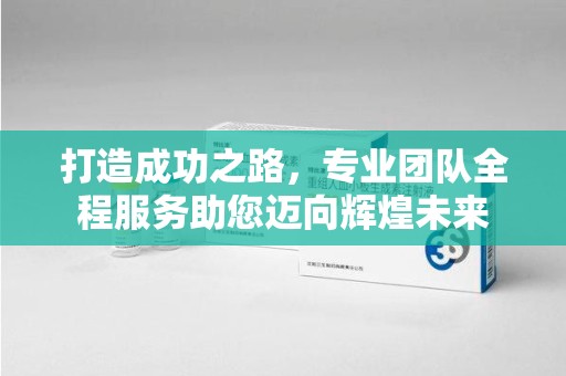惠州打造成功之路，专业团队全程服务助您迈向辉煌未来