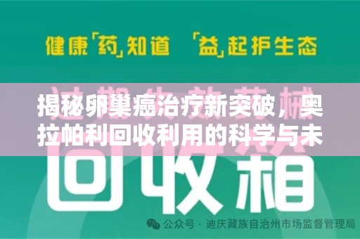 惠州揭秘卵巢癌治疗新突破，奥拉帕利回收利用的科学与未来