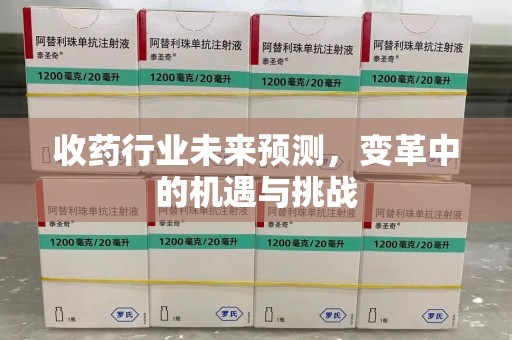 惠州收药行业未来预测，变革中的机遇与挑战