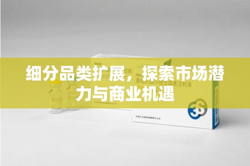 惠州细分品类扩展，探索市场潜力与商业机遇
