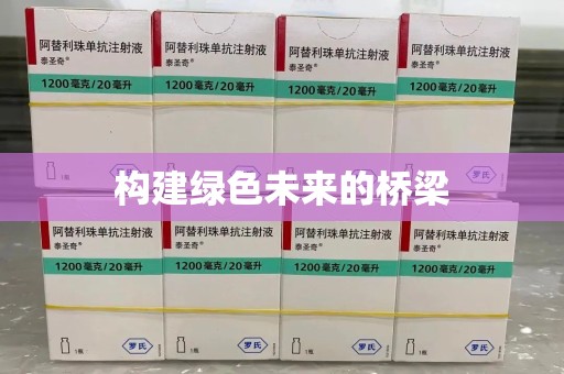 惠州构建绿色未来的桥梁