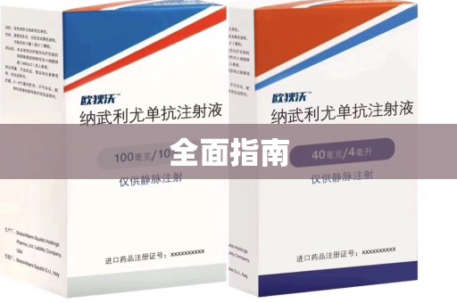 惠州全面指南