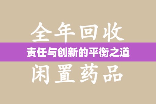 惠州责任与创新的平衡之道
