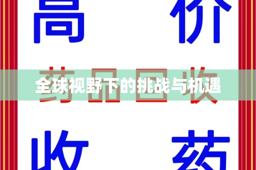 惠州全球视野下的挑战与机遇