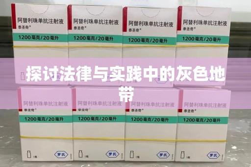 惠州探讨法律与实践中的灰色地带