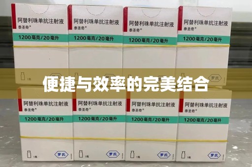 惠州便捷与效率的完美结合