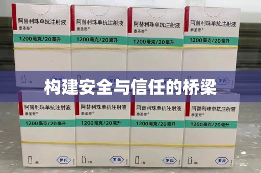 惠州构建安全与信任的桥梁